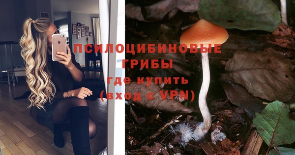 марки nbome Горняк