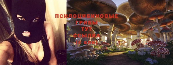 не бодяженный Горнозаводск