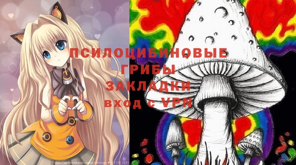 марки nbome Горняк